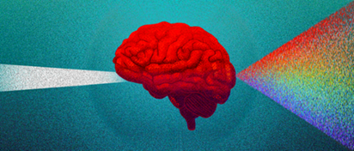 Neurociencia-Vc-sabe-como-seus-alunos-aprendem-InfoGeekie-Jun-16